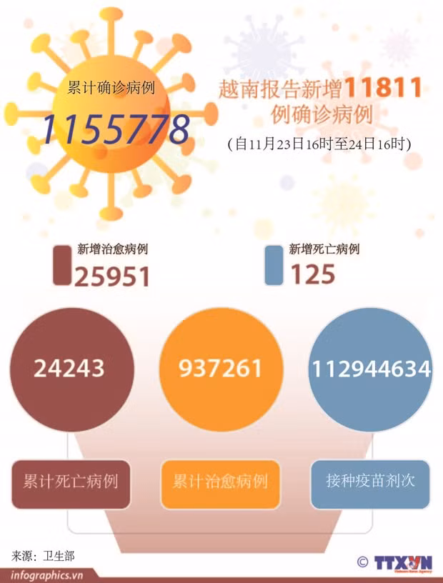 11月24日 越南新增11789例本地新冠肺炎确诊病例 新增治愈出院病例25951例 ảnh 2