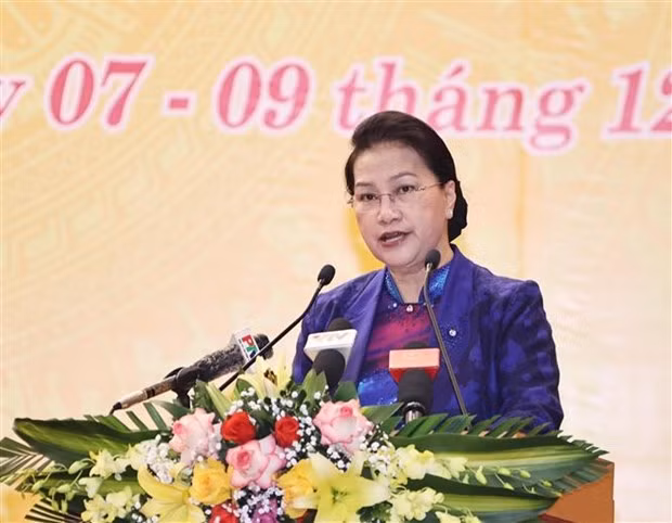 国会主席阮氏金银：富寿省努力同全国一道一边有效地控制疫情一边推动经济社会发展 ảnh 2