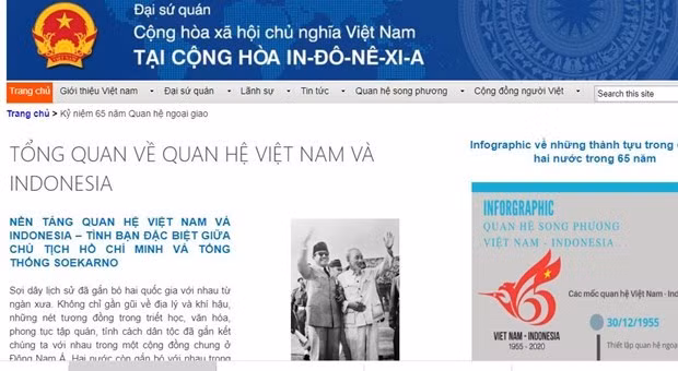 庆祝越南—印度尼西亚建交65周年专题页面开通 ảnh 1