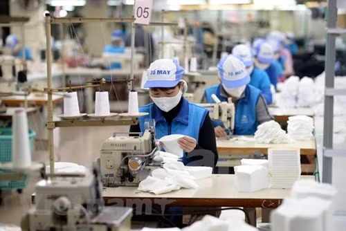 至2025年越南纺织品服装业力争实现出口额达550亿美元的目标 ảnh 2