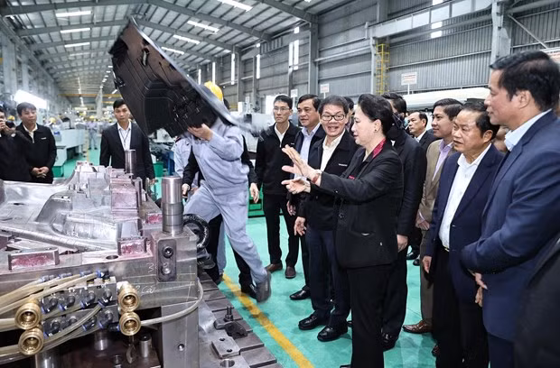 越南国会主席阮氏金银赴广南省考察调研 ảnh 2