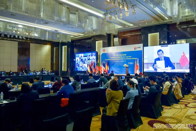 增强东盟加三经济金融合作韧性共同应对新挑战 ảnh 2