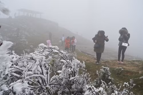 越南北部和中部以北地区继续遭遇寒冷天气 山区局部地区或将下雪 ảnh 1