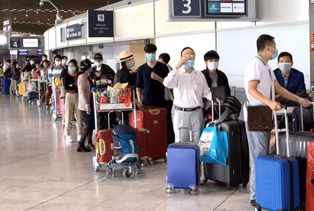 将在欧洲、非洲、南美和以色列等国家和地区滞留的越南公民接回国 ảnh 1