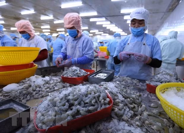 确立越南在全球供应链中的地位 ảnh 2