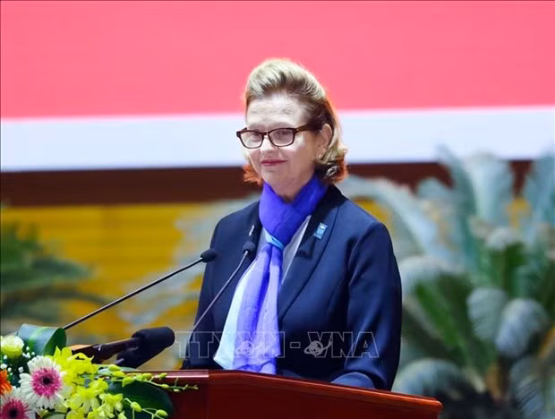 越南向UNDP驻越首席代表授予“致力于自然资源与环境事业”纪念章 ảnh 1