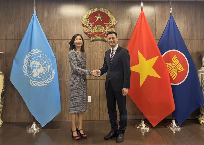 联合国驻越南协调员支持越南在联合国促进的优先事项 ảnh 1