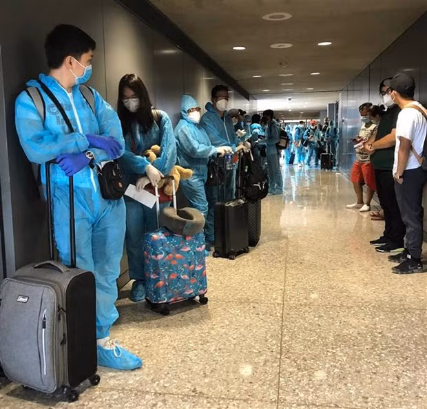 新冠肺炎疫情：越南将在美国的340余名公民接回国 ảnh 1