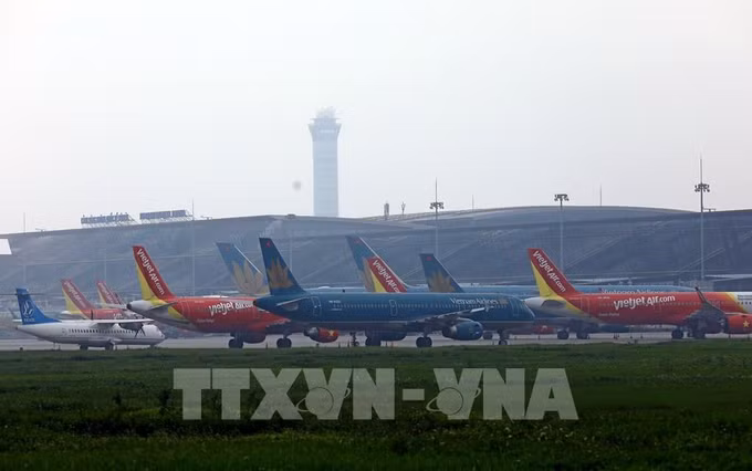 各家航空公司推出优惠票价 ảnh 1
