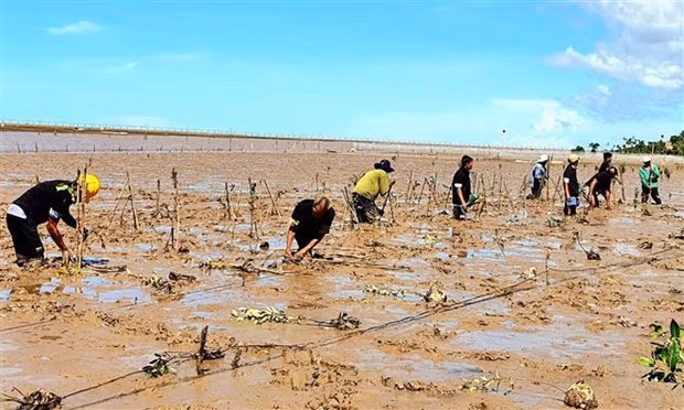 由奥地利资助以提高朔庄省气候变化适应能力的项目正式启动 ảnh 1