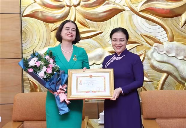 越南向澳大利亚驻越南大使授予“致力于各民族和平友谊”纪念章 ảnh 1