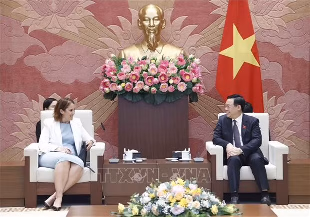 越南国会主席王廷惠会见新西兰驻越大使崔德妮•切丽•多布森 ảnh 1