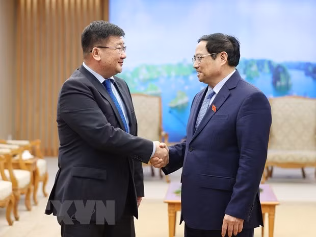 越南政府总理范明政会见埃及驻越南大使和蒙古国驻越南大使 ảnh 2