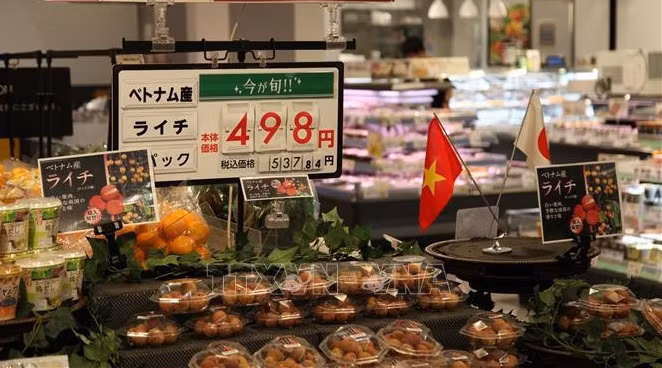 开放农产品市场：按照国际标准生产农产品 ảnh 1
