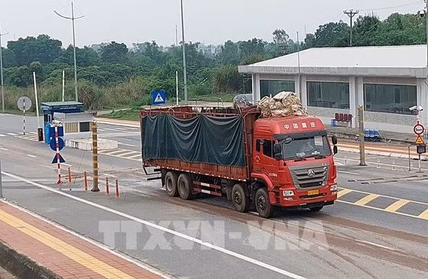 广宁省芒街国际口岸自重启以来货物吞吐量累计超过45300吨 ảnh 2