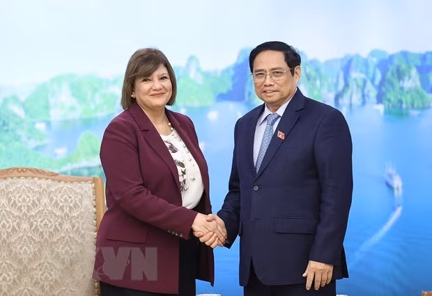 越南政府总理范明政会见埃及驻越南大使和蒙古国驻越南大使 ảnh 1