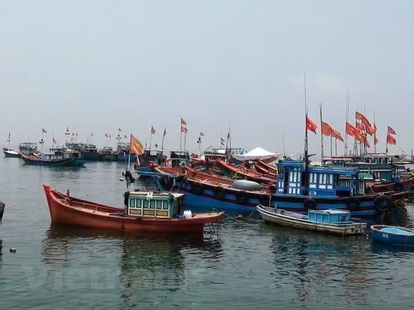 广义省渔民坚决对非法捕捞行为说“不” ảnh 1