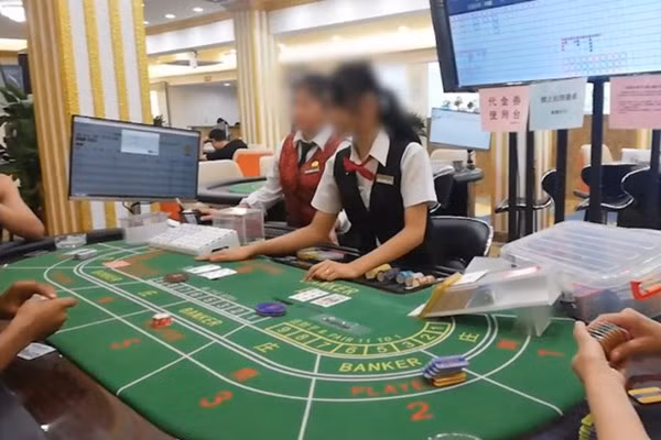 柬埔寨重拳打击赌博违法犯罪 ảnh 1