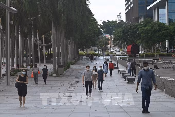 新加坡第二季度劳动力市场持续得到改善 ảnh 1