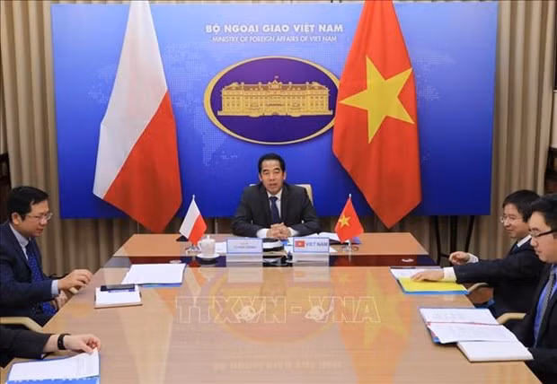 越南与波兰外交部副部长级政治磋商以视频形式举行 ảnh 1