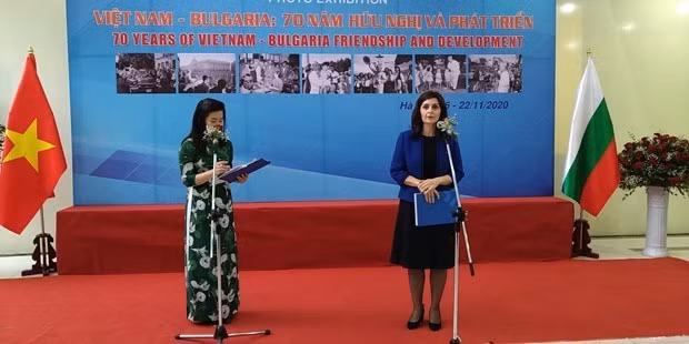保加利亚驻越南大使佩特科娃：我钦佩越南人的活力和力量 ảnh 1