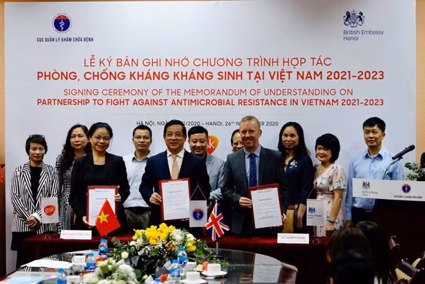越南与英国在抗生素耐药性领域展开合作 ảnh 1