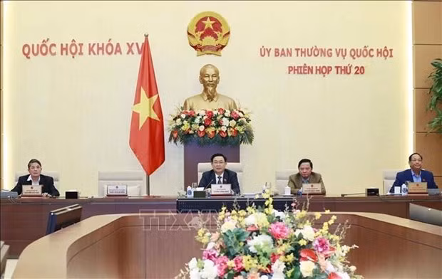 越南第十五届国会常务委员会第20次会议闭幕 ảnh 1