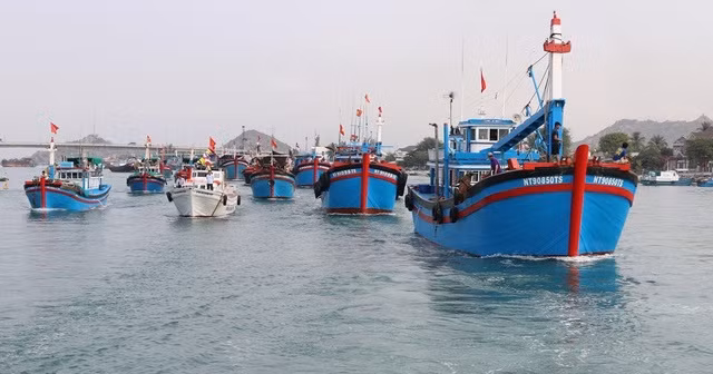 越南广南渔民严格遵守法规 努力解除IUU黄牌警告 ảnh 1