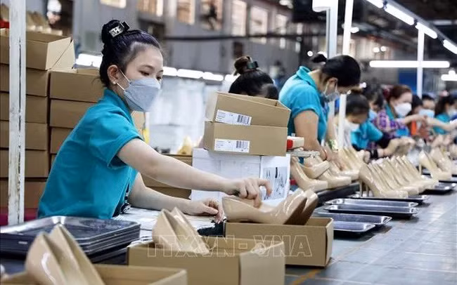 胡志明市吸引服务业和工业产业劳动者 ảnh 1