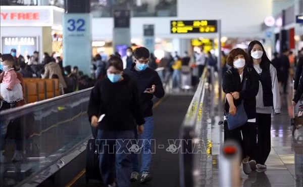 越南各家航空公司国际航班客满率正在增加 ảnh 1