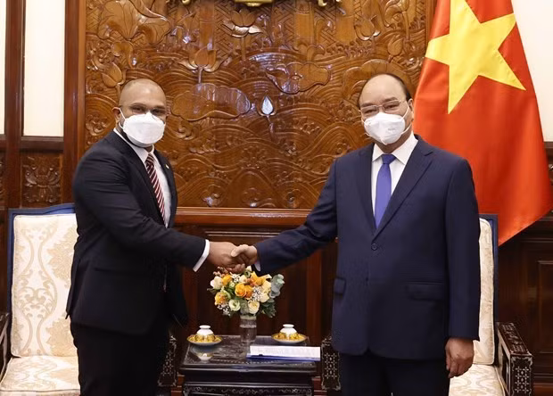 越南国家主席会见前来递交国书的各国驻越南新任大使 ảnh 3