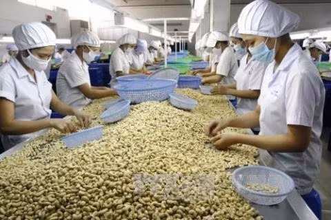 外交部例行记者会：保护越南企业的合法权益 ảnh 1