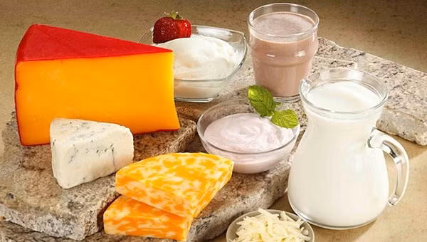 越南企业向以色列出口乳制品的机会广阔 ảnh 1
