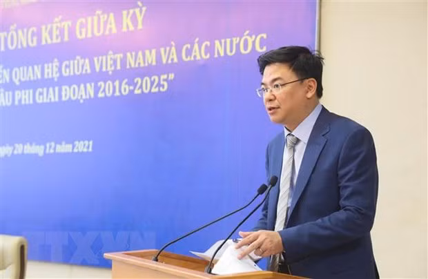 推动越南与中东-非洲地区各国关系发展 ảnh 1