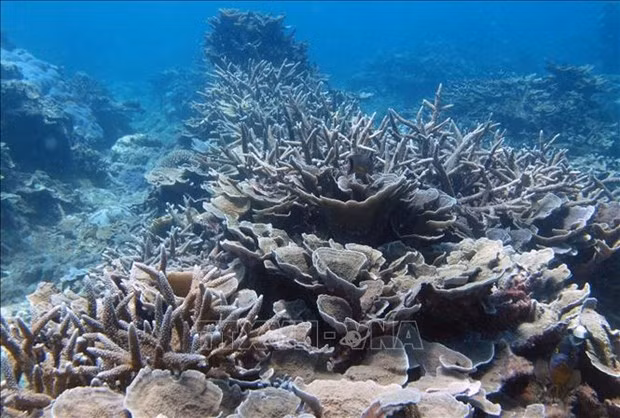 国家生物多样性数据库构建提案正式获批 ảnh 1