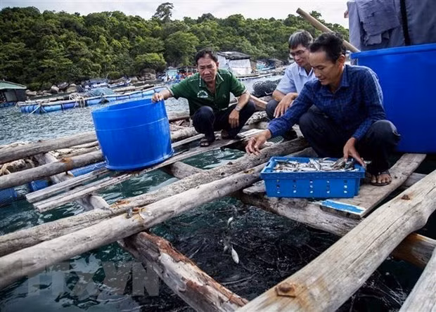2021年越南水产养殖产量达475万吨 ảnh 1