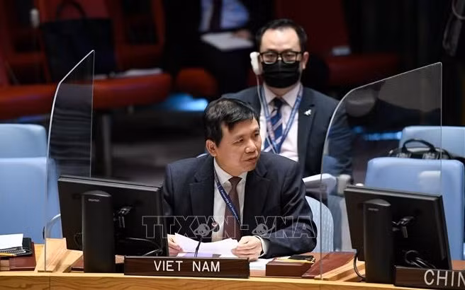 越南与联合国安理会：越南敦促各方接受联合国提出的也门和平倡议 ảnh 1