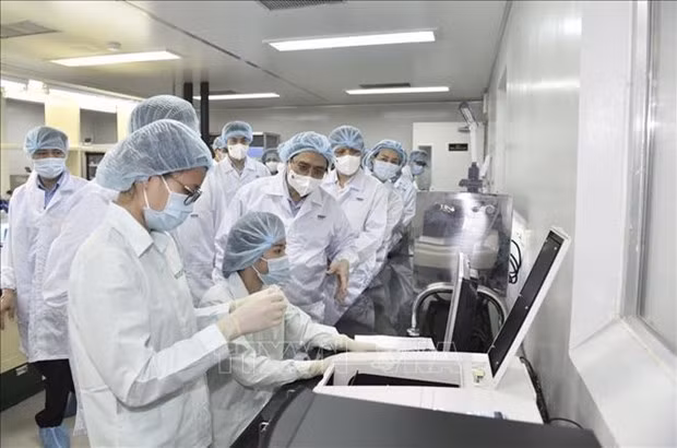 政府总理范明政要求需在2022年6月前拥有越南产的新冠疫苗 ảnh 2