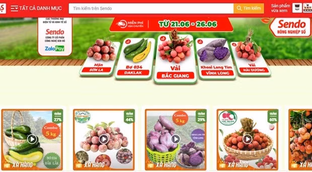 越南多省农产品走上Sendo电商平台 ảnh 1
