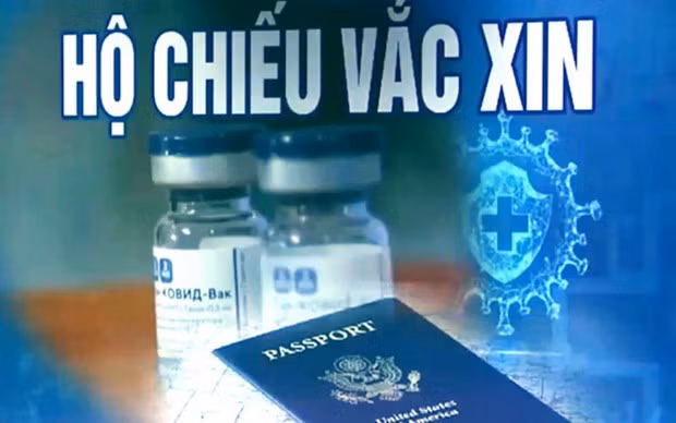 坚江省富国岛将成为越南第一个地方启用“新冠疫苗护照” ảnh 1