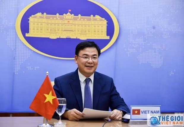 海外越南人支持国内新冠疫情防控工作 ảnh 1