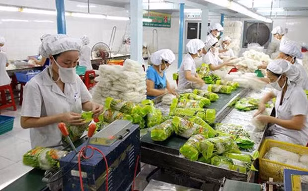 越南蔬果对“荷刻”市场的出口增长良好 ảnh 1