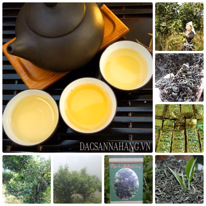 宣光省纳杭县强力推进山雪茶品牌树立 ảnh 2