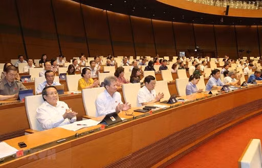 越南第十四届国会第九次会议决议 ảnh 2