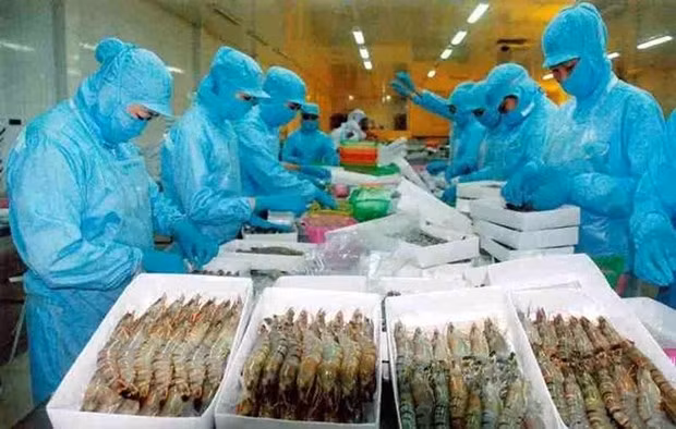 充分利用FTA协定促进农产品对俄罗斯出口 ảnh 1