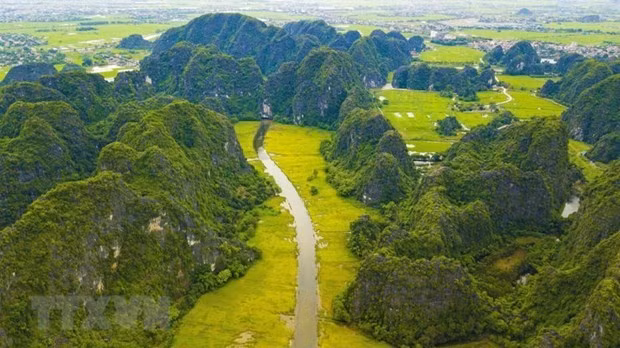 传递绿色环保理念 共建美丽家园 ảnh 2