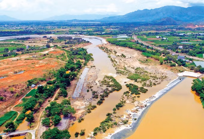 中部以南沿海地区难忘的6月 ảnh 1