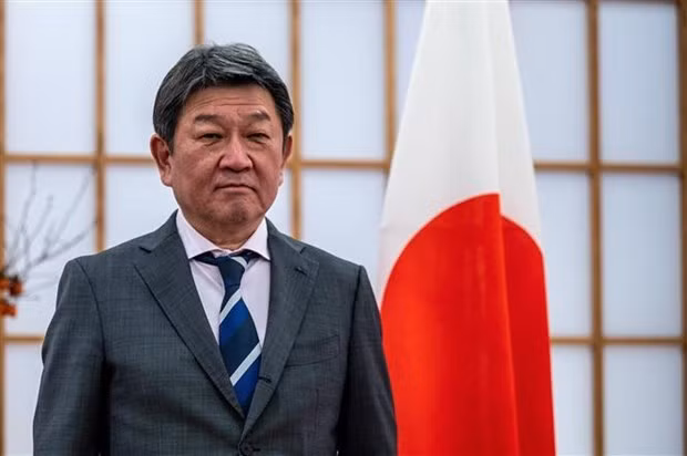 日本承诺全力支持东盟缅甸问题特使相关活动 ảnh 1