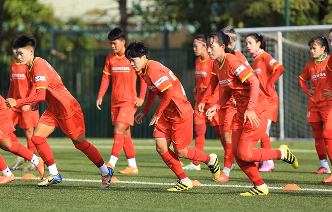 FIFA最新排名：越南女足仍保持东南亚首位 ảnh 1