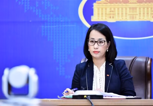 外交部例行记者会：越南承诺为应对气候变化作出不懈努力 ảnh 1